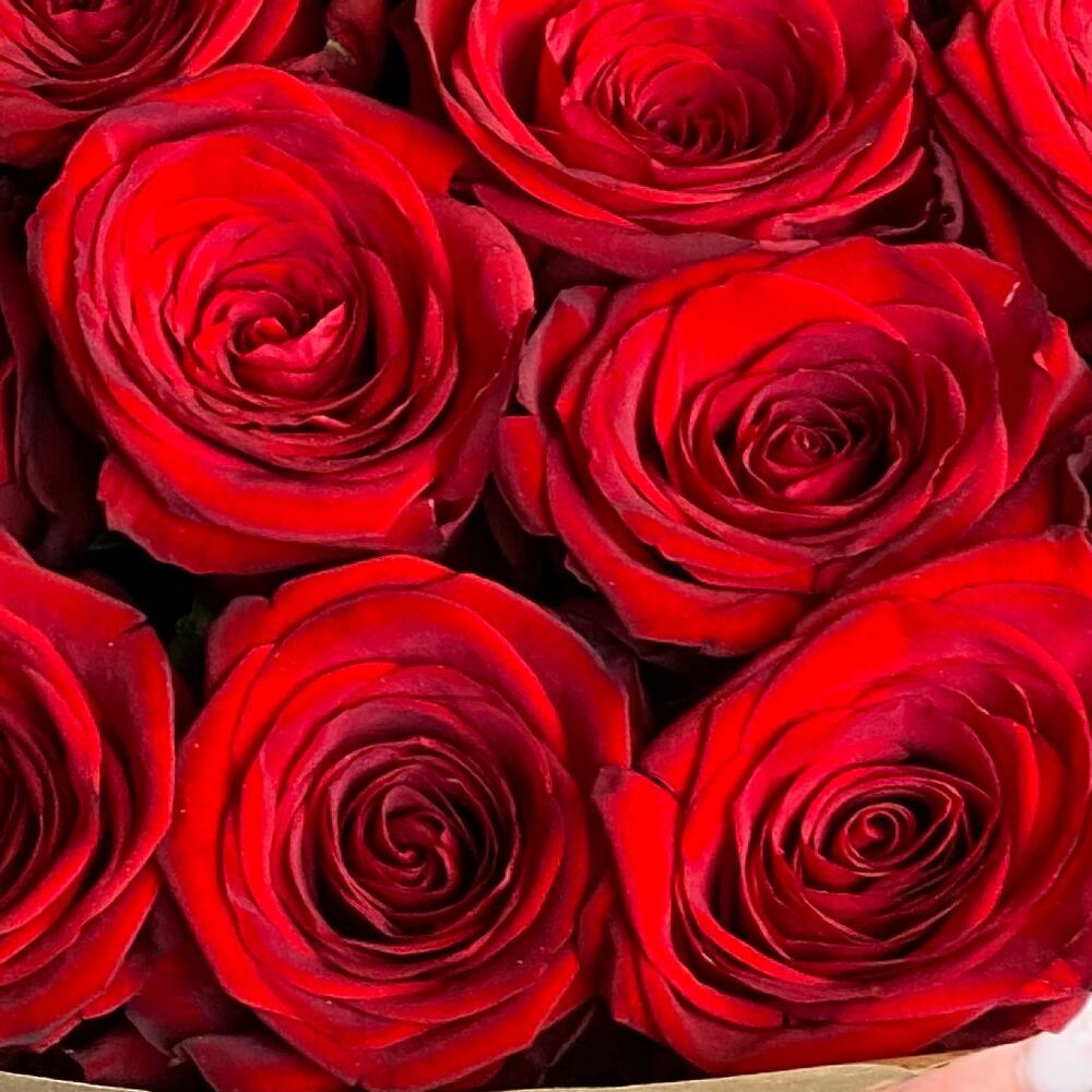 Букет из 23 импортных роз 3