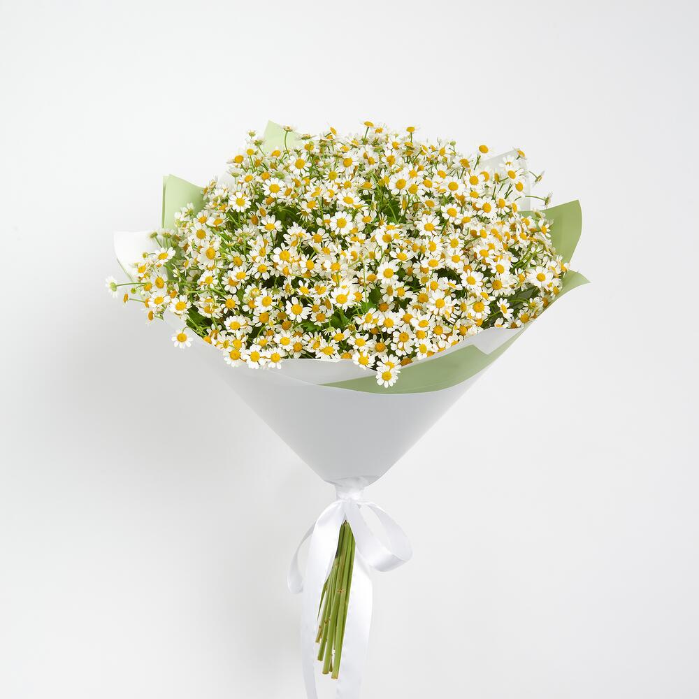 Букет из 25 ромашек 3