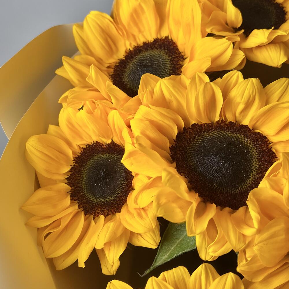 Букет из 9 подсолнухов 3